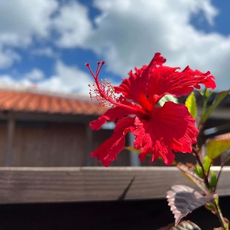 Villa Muse Okinawa- Vacation Stay 43823V 名護市 エクステリア 写真