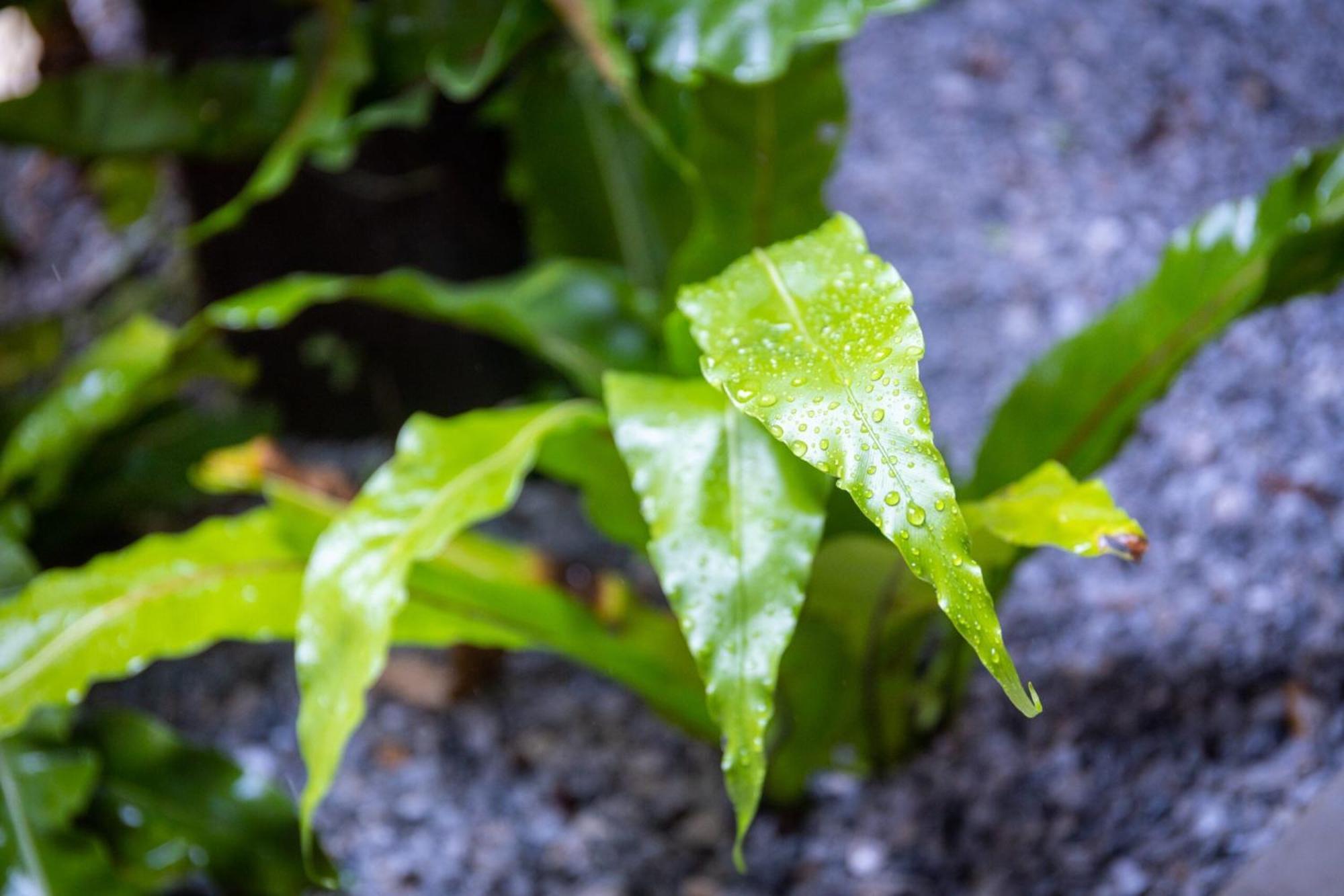 Villa Muse Okinawa- Vacation Stay 43823V 名護市 エクステリア 写真